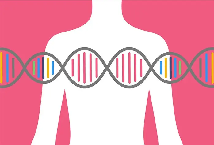 Meme Kanseri Genetik Midir?